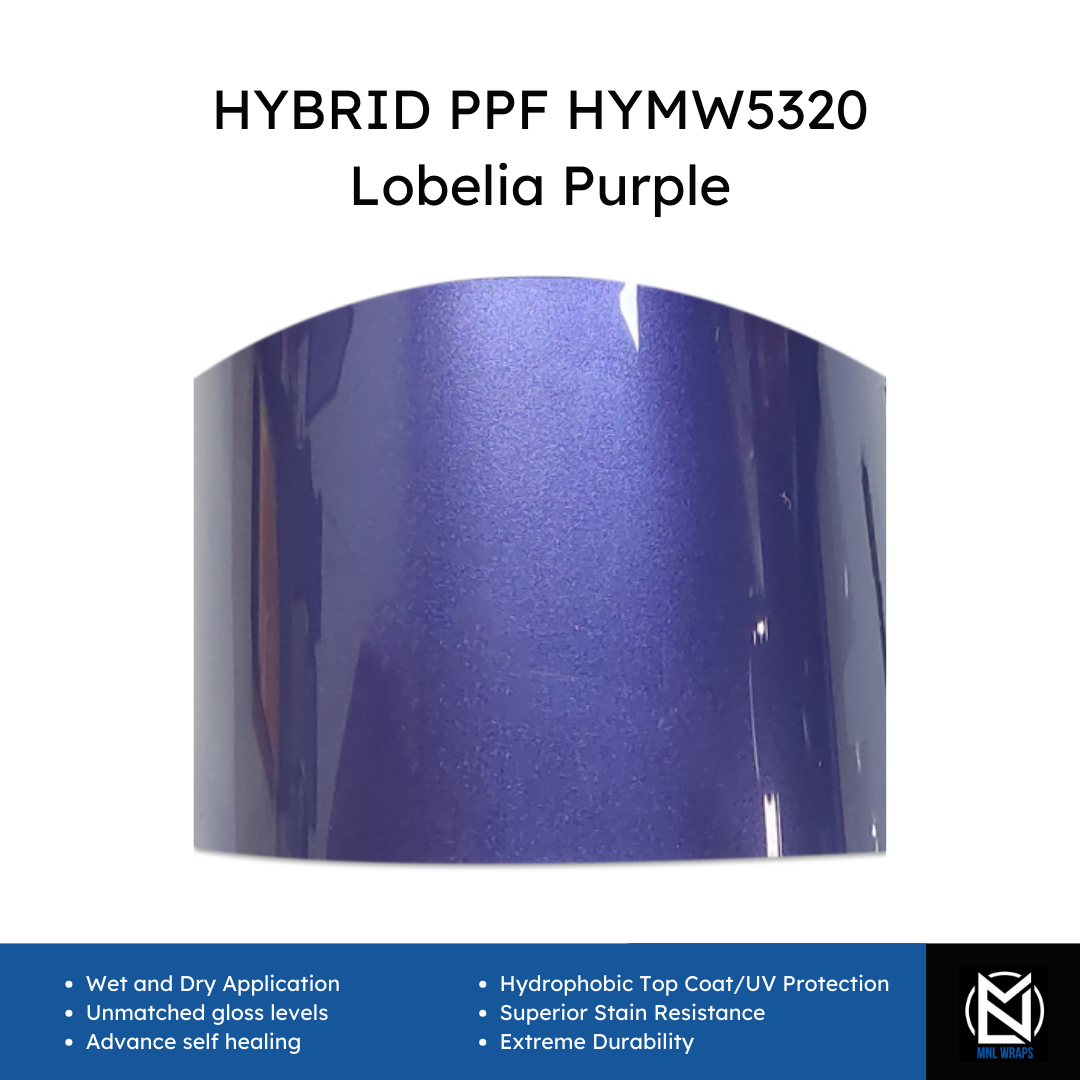 Hybrid PPF HYMW5320 Lobelia Purple